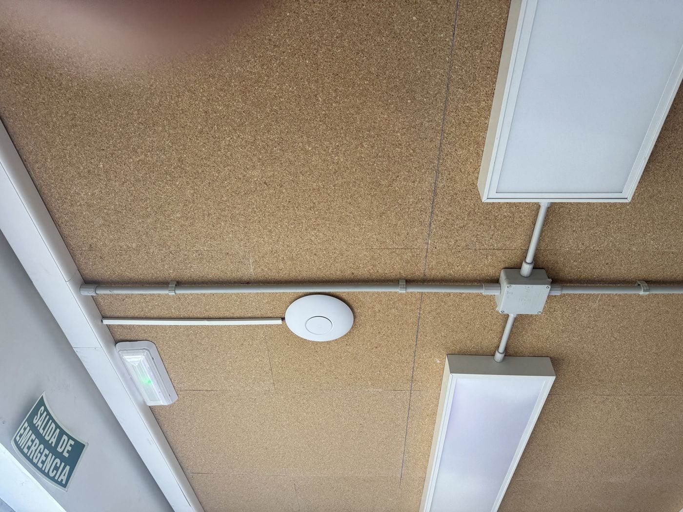 Reordenación de armario rack y red WiFi en oficina: Punto de acceso WiFi en techo
